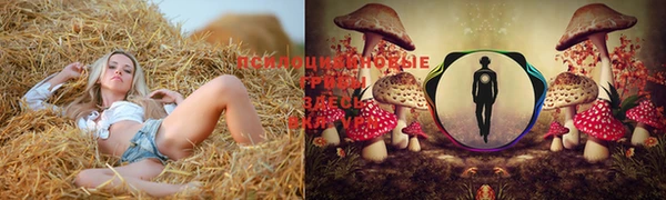 синтетический гашиш Армянск