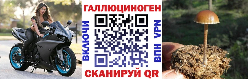 Псилоцибиновые грибы ЛСД  blacksprut ТОР  Георгиевск  продажа наркотиков 