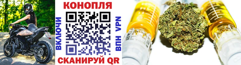 Конопля гибрид Георгиевск